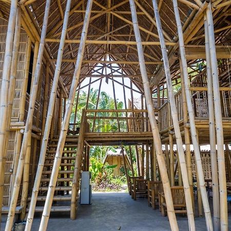 Mango Tree Eco-Hostel 道因 外观 照片
