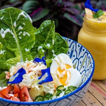 Mango Tree Eco-Hostel 道因 外观 照片