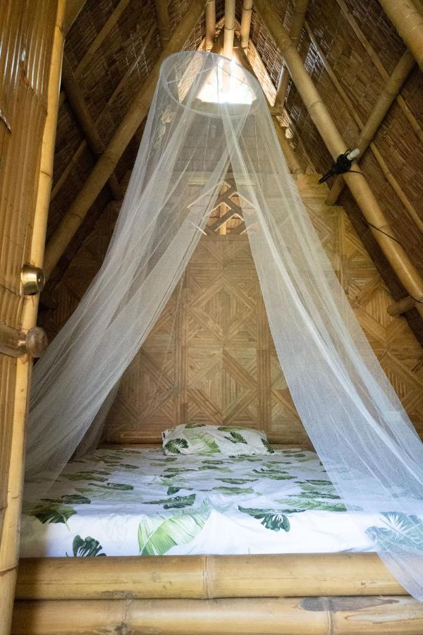 Mango Tree Eco-Hostel 道因 外观 照片