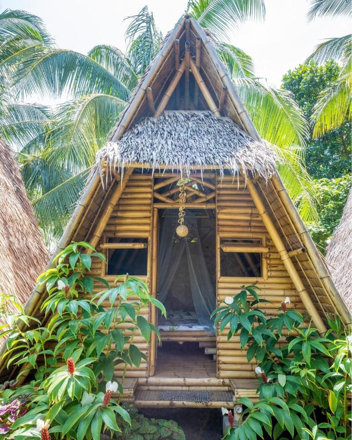 Mango Tree Eco-Hostel 道因 外观 照片