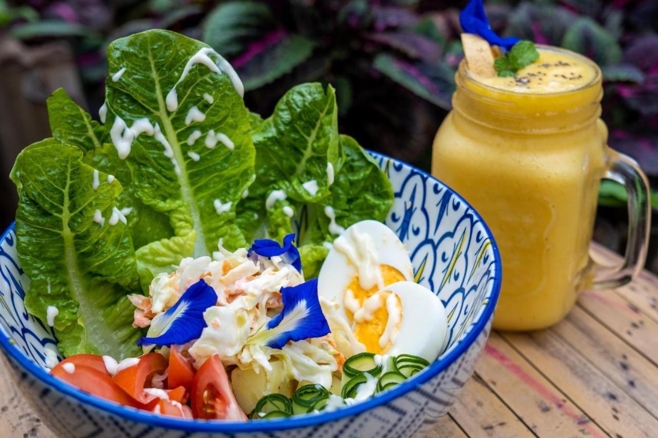 Mango Tree Eco-Hostel 道因 外观 照片