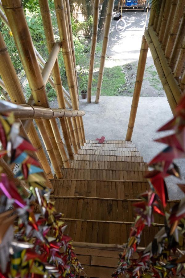 Mango Tree Eco-Hostel 道因 外观 照片