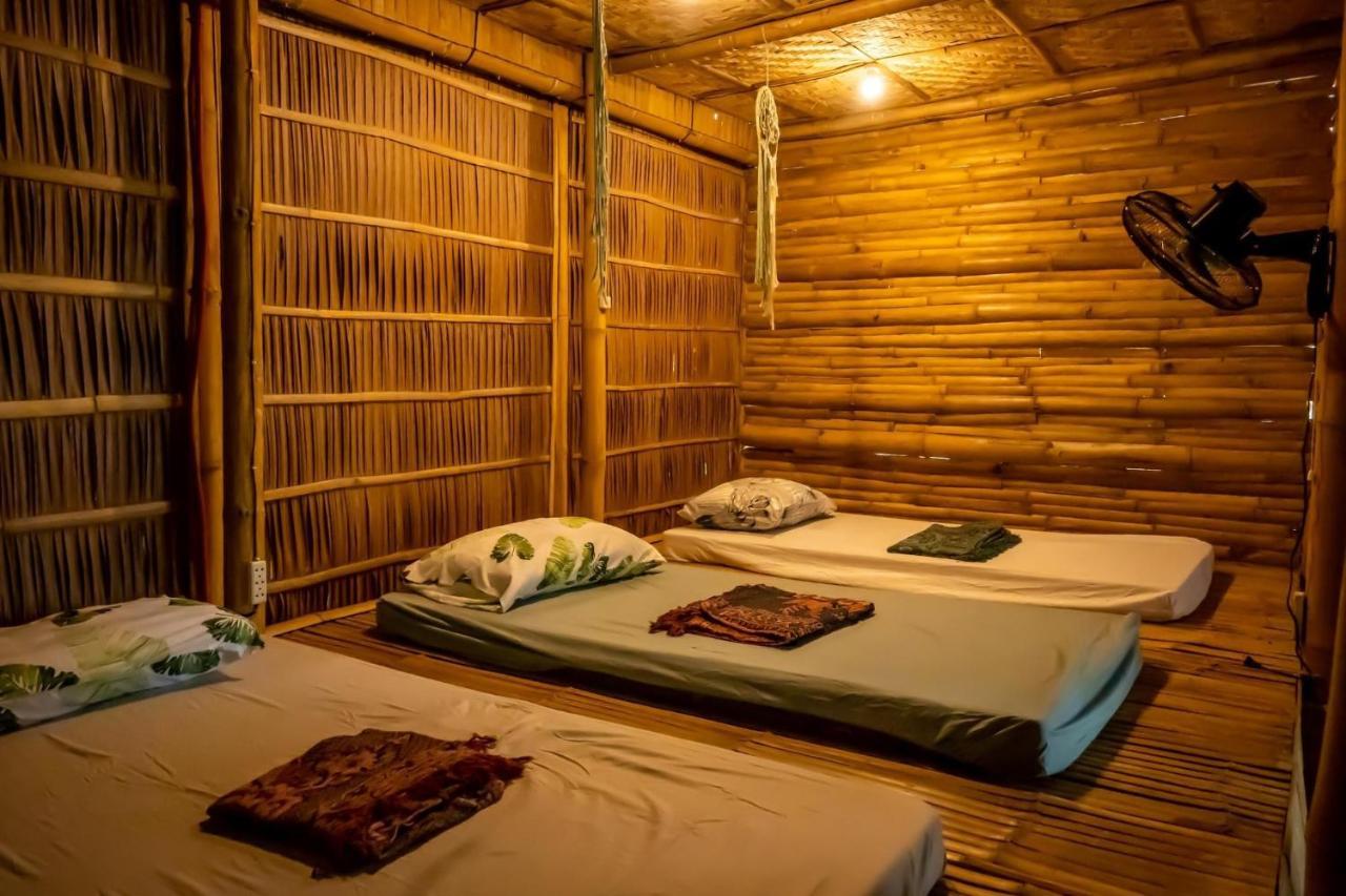 Mango Tree Eco-Hostel 道因 外观 照片