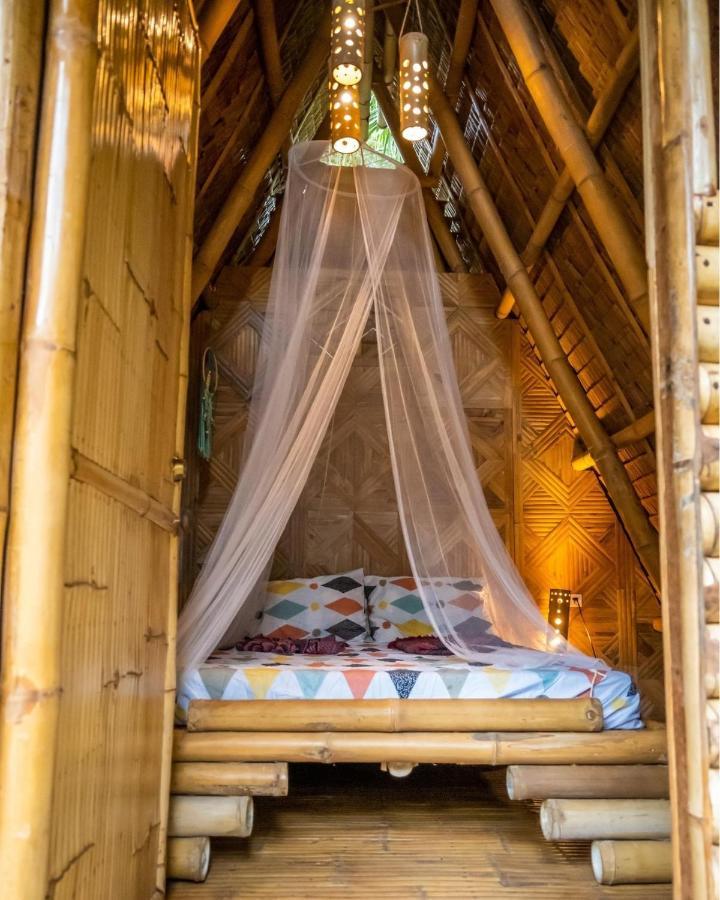 Mango Tree Eco-Hostel 道因 外观 照片