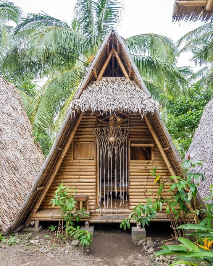 Mango Tree Eco-Hostel 道因 外观 照片