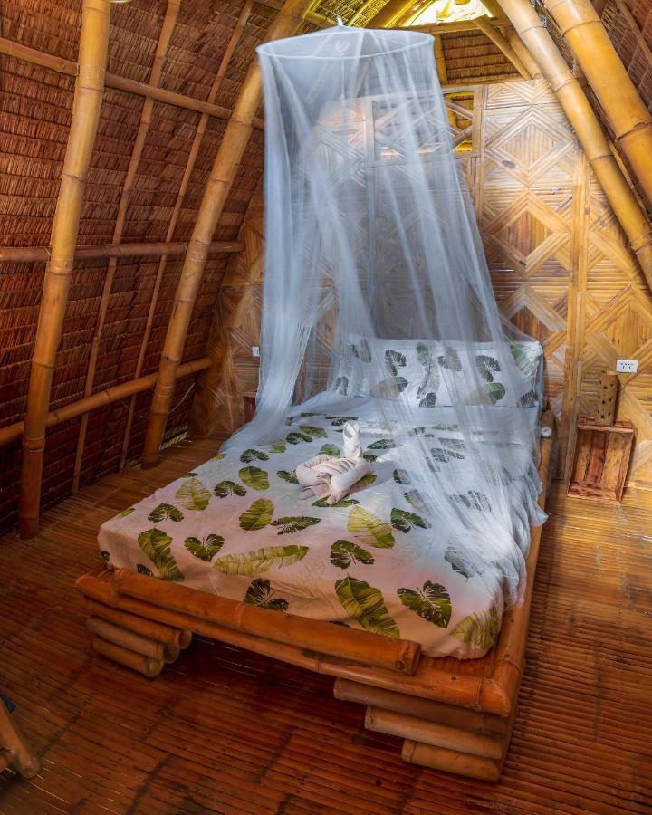 Mango Tree Eco-Hostel 道因 外观 照片