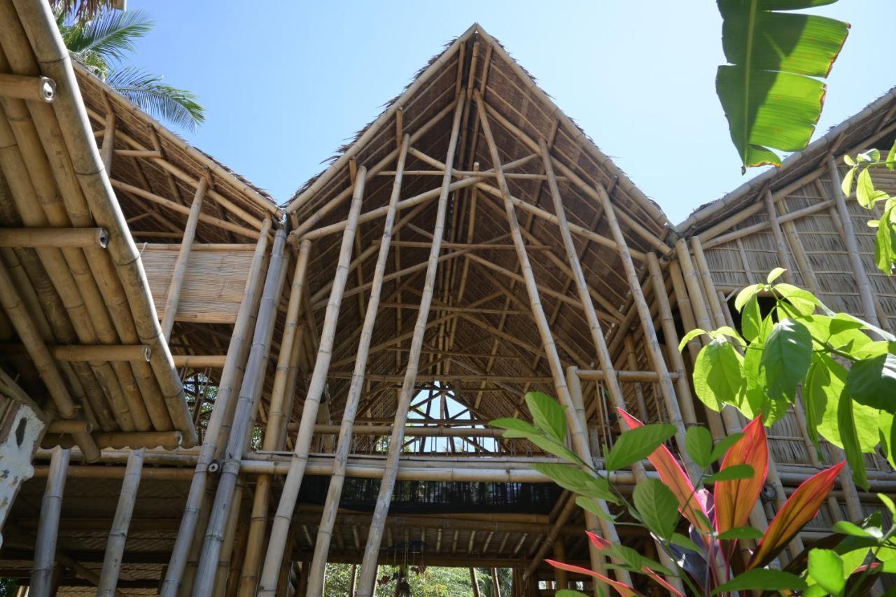 Mango Tree Eco-Hostel 道因 外观 照片